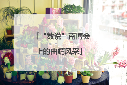 “数说”南博会上的曲靖风采